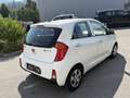 Kia Picanto 1,0 MPI Titan Weiß - thumbnail 4