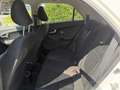 Kia Picanto 1,0 MPI Titan Weiß - thumbnail 8