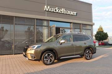 Platinum FACELIFT  sofort!