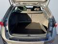 Skoda Octavia Combi 2.0 TDI DSG SitzheizSpurhalteassist Gris - thumbnail 14