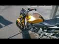 Honda Hornet Goud - thumbnail 4