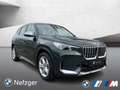 BMW iX1 xDrive30 Park-Assistent LED HiFi Зелёный - thumbnail 6