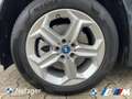 BMW iX1 xDrive30 Park-Assistent LED HiFi Зелёный - thumbnail 13