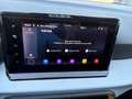 SEAT Ibiza 5ª serie 1.0 TGI 5 porte Business Blu/Azzurro - thumbnail 14