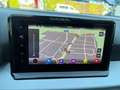 SEAT Ibiza 5ª serie 1.0 TGI 5 porte Business Blu/Azzurro - thumbnail 13