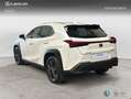 Lexus UX 300h + Weiß - thumbnail 2