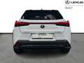 Lexus UX 250h F SPORT Design Wit - thumbnail 6