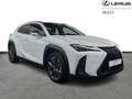 Lexus UX 250h F SPORT Design Wit - thumbnail 18