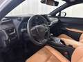 Lexus UX 250h F SPORT Design Wit - thumbnail 20