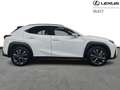 Lexus UX 250h F SPORT Design Wit - thumbnail 16
