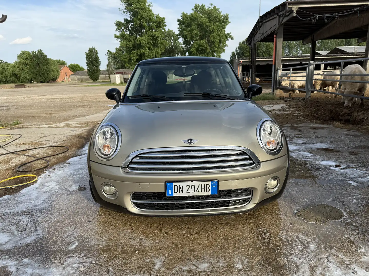 MINI Cooper D 1.6 Salt - 2