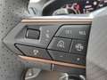 CUPRA Terramar TERRAMAR 2.0 TSI  DSG 4DRIVE SHZ NAVI PANORAMADA Mauve - thumbnail 24