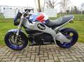 Buell XB 9 S Lightning  "Stars and Stripes"  Service+Tüv bijela - thumbnail 7