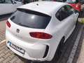 SEAT Leon GT 1,2 TSI Weiß - thumbnail 10
