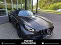 Mercedes-Benz AMG GT AMG GT R Roadster Keramik+Distr+BurmHiEnd+Carbon Gris - thumbnail 20