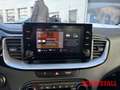 Kia XCeed Spirit Plug-in Hybrid 16'' ALLWETTER KAMERA CARPLA Weiß - thumbnail 12