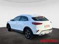 Kia XCeed Spirit Plug-in Hybrid 16'' ALLWETTER KAMERA CARPLA Weiß - thumbnail 3