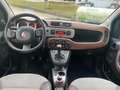 Fiat Panda Cross 4x4 Klimaautomatik SHZ Noir - thumbnail 11