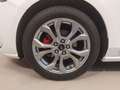 Ford Focus ST-LINE 1.0 ECOBOOST MHEV 125 CV 5P Blanco - thumbnail 18