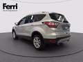 Ford Kuga 2.0 tdci Business s&s 2wd 120cv Gris - thumbnail 15