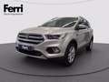 Ford Kuga 2.0 tdci Business s&s 2wd 120cv Gris - thumbnail 1
