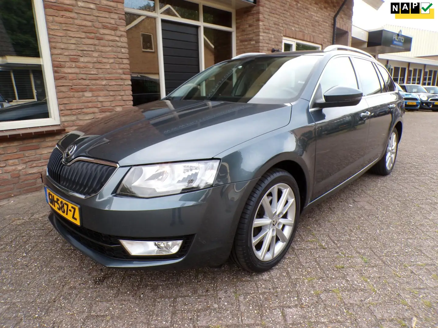 Skoda Octavia Combi 1.4 TSI G-TEC Ambition Businessline Grau - 1