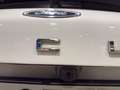 Ford Focus Active 5 porte 1.0 EcoBoost Hybrid Design Weiß - thumbnail 25