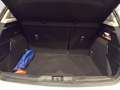 Ford Focus Active 5 porte 1.0 EcoBoost Hybrid Design Weiß - thumbnail 18