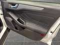 Ford Focus Active 5 porte 1.0 EcoBoost Hybrid Design Weiß - thumbnail 16