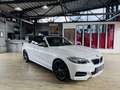 BMW 235 i Cabrio DKG*NAVI*LEDER*BI-XENON* Bílá - thumbnail 15