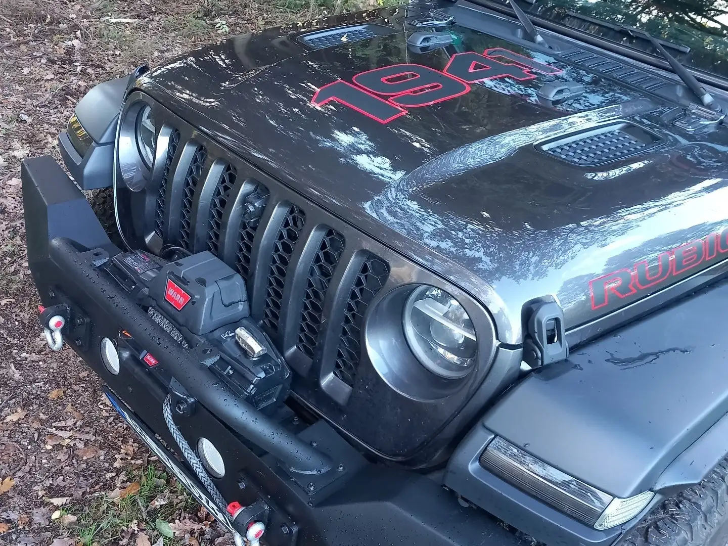 Jeep Wrangler Rubicon Grau - 1