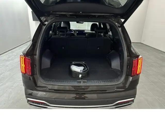 Kia Sorento view 11