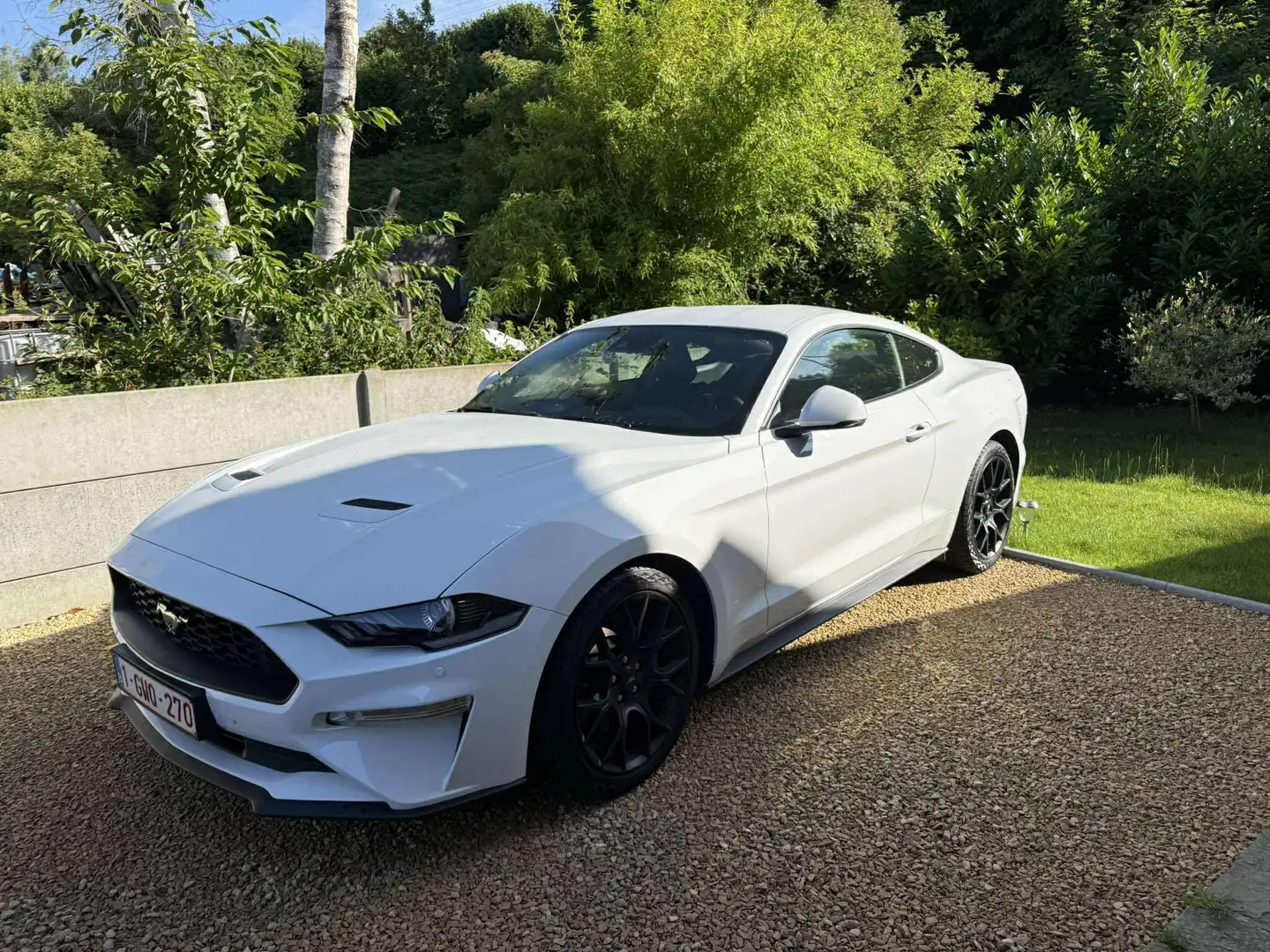 Ford Mustang Mustang 2.3 EcoBoost (EU6.2) Wit - 1