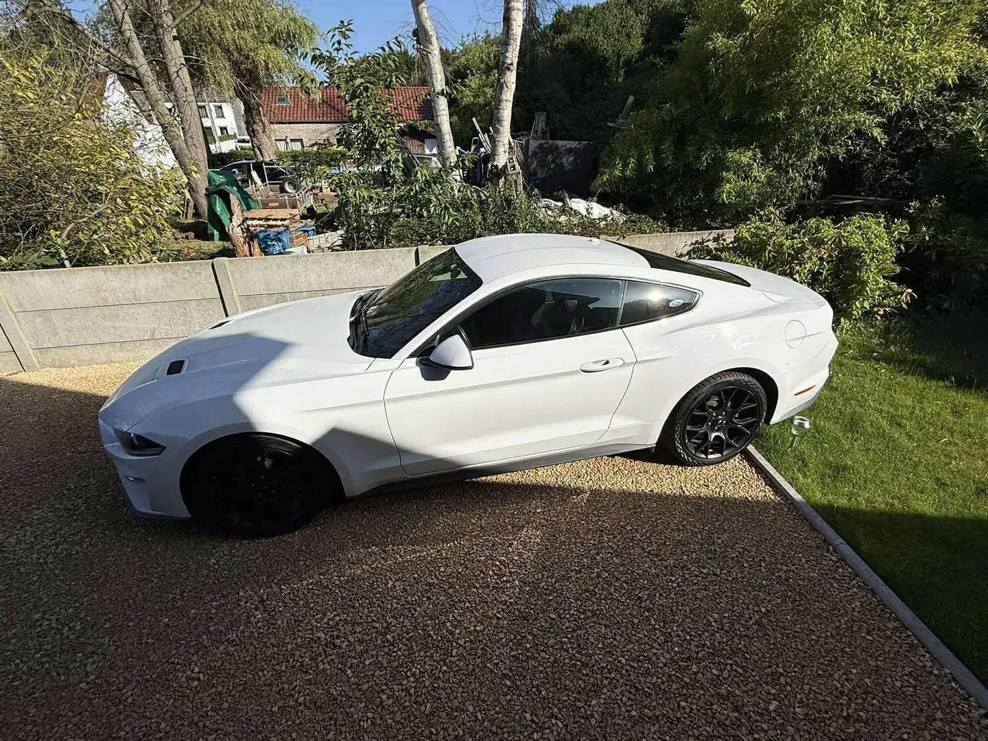 Ford Mustang Mustang 2.3 EcoBoost (EU6.2) Wit - 2