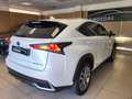 Lexus NX 300 h 2.5   HYBRID 4wd PREZZO REALE Blanc - thumbnail 5