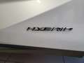Lexus NX 300 h 2.5   HYBRID 4wd PREZZO REALE Blanc - thumbnail 12