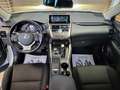 Lexus NX 300 h 2.5   HYBRID 4wd PREZZO REALE Blanc - thumbnail 7