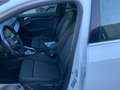 Audi A3 A3 SPB 30 TDI S tronic S line edition Weiß - thumbnail 11