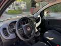 Fiat Panda PROMO FINANZIAMENTO 1.0 Hybrid Nero - thumbnail 8