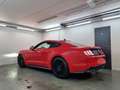 Ford Mustang V8 GT Automaat - Nieuw!!! Rosso - thumbnail 5