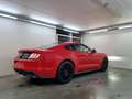 Ford Mustang V8 GT Automaat - Nieuw!!! Rouge - thumbnail 8