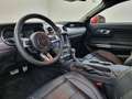 Ford Mustang V8 GT Automaat - Nieuw!!! Rojo - thumbnail 3