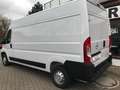 Opel Movano 2.2Cargo L3H2-Klimaautomatic-Tempo-PDC hinten Weiß - thumbnail 4