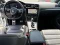 Volkswagen Golf R R BMT/Start-Stopp 4Motion Leder LED Bianco - thumbnail 6