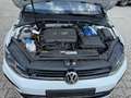 Volkswagen Golf R R BMT/Start-Stopp 4Motion Leder LED Bianco - thumbnail 13