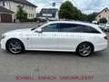Mercedes-Benz E 300 de T-Modell AMG-Line *LED*ACC*KAMERA*SHZ* Fehér - thumbnail 31
