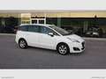 Peugeot 5008 BlueHDi 120 EAT6 SOLO PER ESTERO Bianco - thumbnail 2