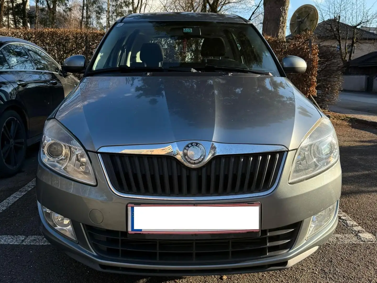 Skoda Roomster Roomster Classic 1,6 TDI CR DPF Classic Silber - 1