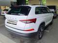 Skoda Kodiaq 2.0 TDI DSG / Matrix, ACC, Pano, Navi, SH Weiß - thumbnail 3