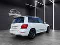 Mercedes-Benz GLK 250 CDI 4Matic Memo*Navi*Shzg*Bi-Xenon*AHK Weiß - thumbnail 6
